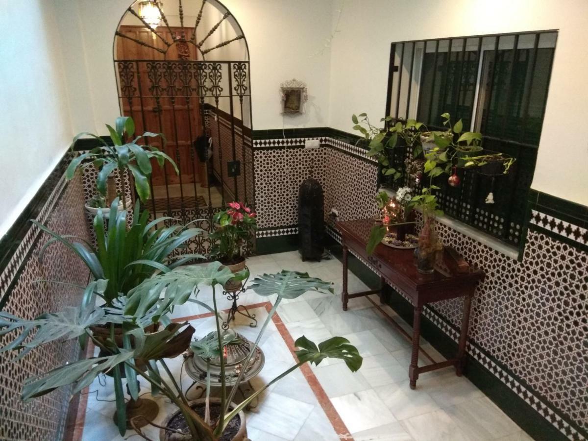 Oasi Macarena Apartamento Sevilha Exterior foto