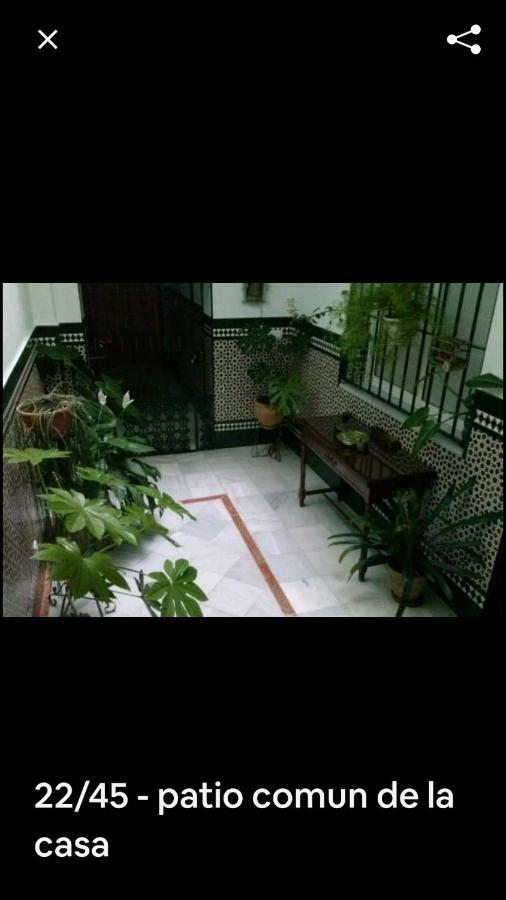 Oasi Macarena Apartamento Sevilha Exterior foto